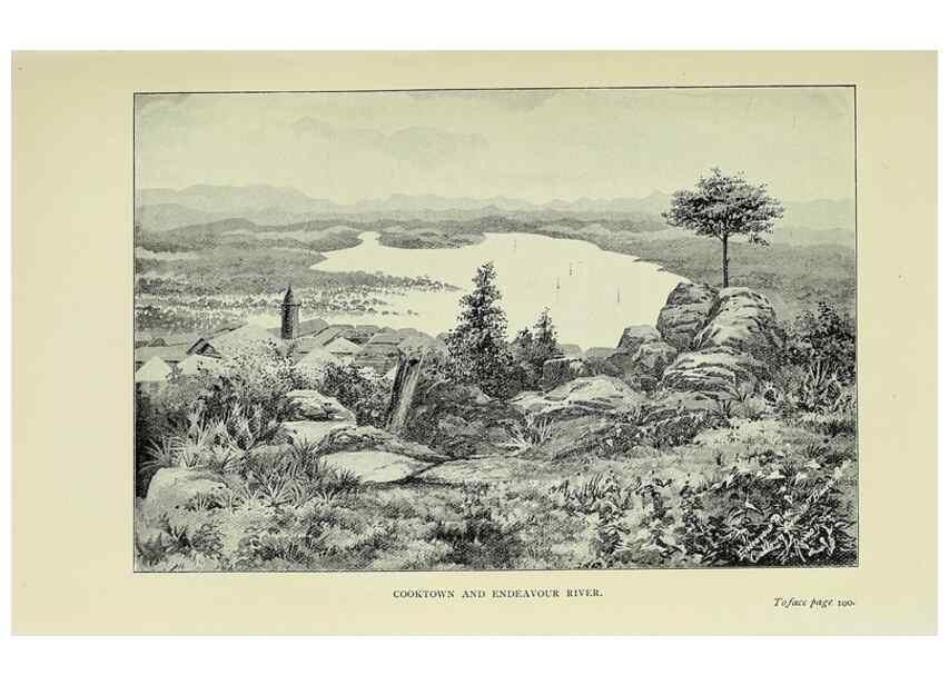 Reproducción/Reproduction 46702458242: A flower-hunter in Queensland & New Zealand,. London,J. Murray,1898.. 