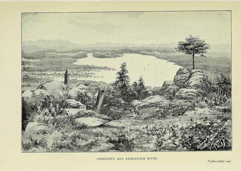 Reproducción/Reproduction 46702458242: A flower-hunter in Queensland & New Zealand,. London,J. Murray,1898.. 