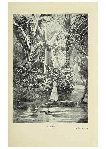 Reproducción/Reproduction 32879728228: A flower-hunter in Queensland & New Zealand,. London,J. Murray,1898.. 