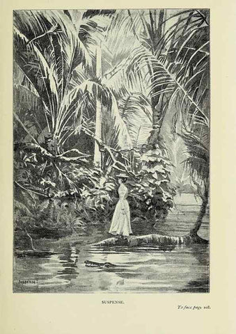 Reproducción/Reproduction 32879728228: A flower-hunter in Queensland & New Zealand,. London,J. Murray,1898.. 