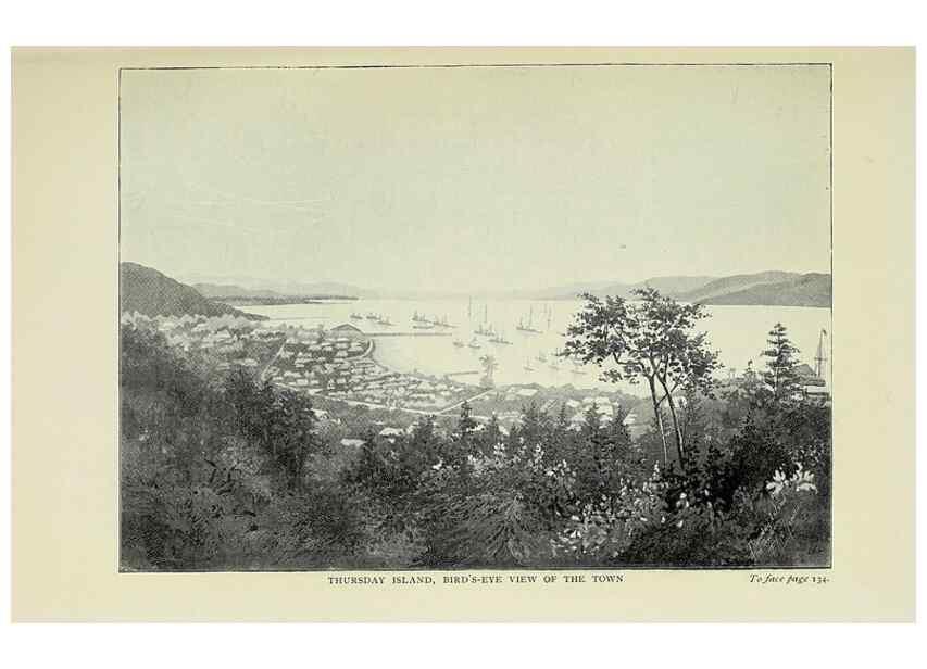 Reproducción/Reproduction 46755298641: A flower-hunter in Queensland & New Zealand,. London,J. Murray,1898.. 