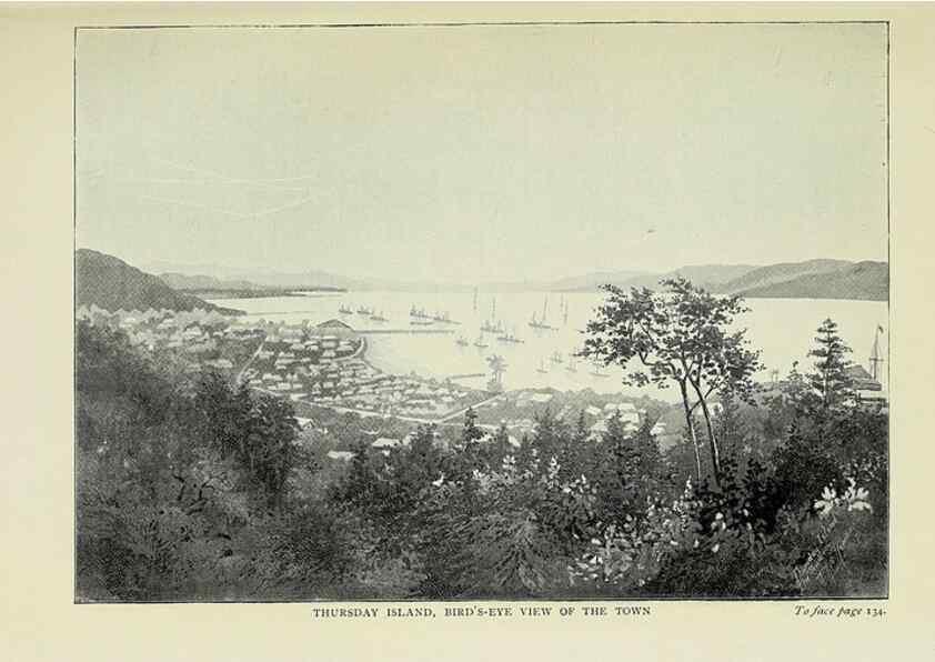 Reproducción/Reproduction 46755298641: A flower-hunter in Queensland & New Zealand,. London,J. Murray,1898.. 