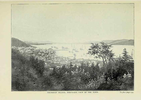 Reproducción/Reproduction 46755298641: A flower-hunter in Queensland & New Zealand,. London,J. Murray,1898.. 