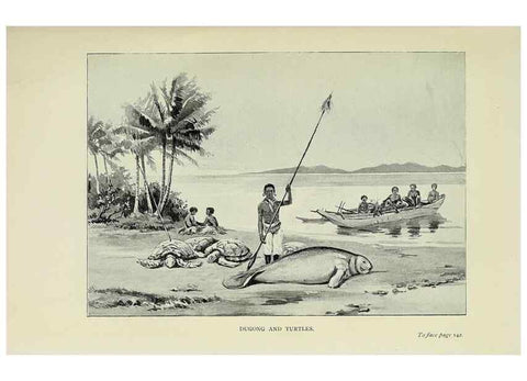 Reproducción/Reproduction 32879730258: A flower-hunter in Queensland & New Zealand,. London,J. Murray,1898.. 