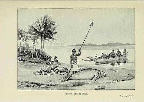 Reproducción/Reproduction 32879730258: A flower-hunter in Queensland & New Zealand,. London,J. Murray,1898.. 