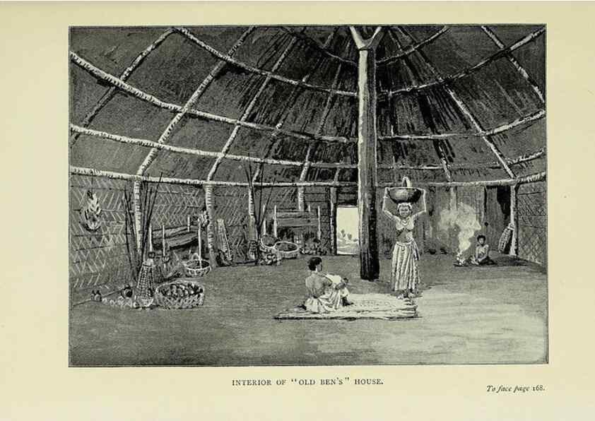 Reproducción/Reproduction 32879731278: A flower-hunter in Queensland & New Zealand,. London,J. Murray,1898.. 