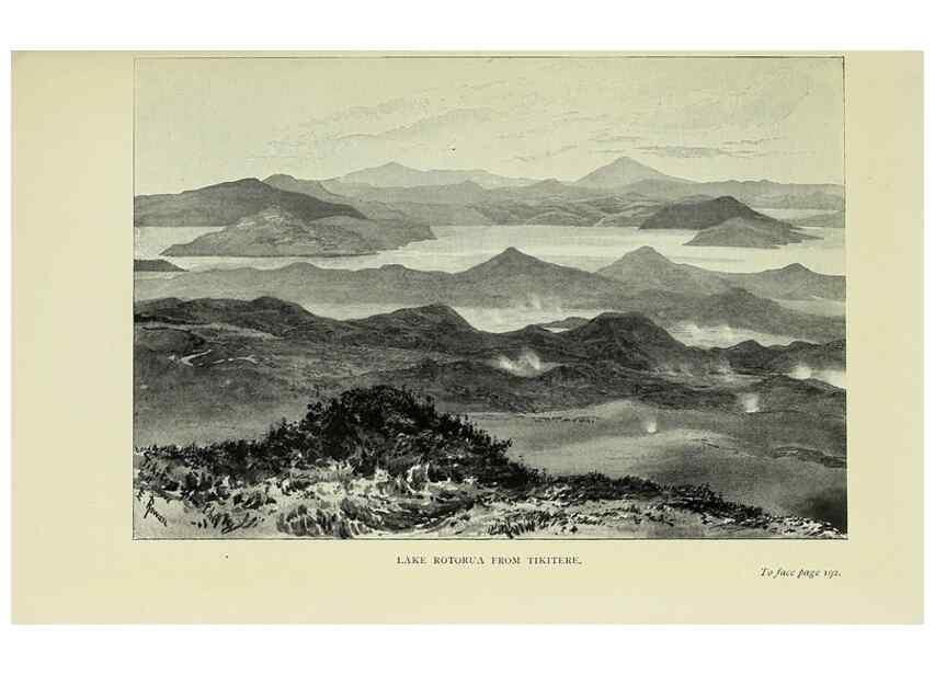 Reproducción/Reproduction 31813652087: A flower-hunter in Queensland & New Zealand,. London,J. Murray,1898.. 