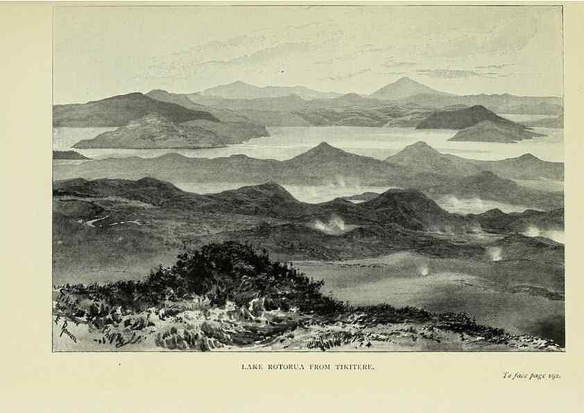 Reproducción/Reproduction 31813652087: A flower-hunter in Queensland & New Zealand,. London,J. Murray,1898.. 