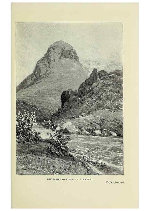 Reproducción/Reproduction 39789887443: A flower-hunter in Queensland & New Zealand,. London,J. Murray,1898.. 