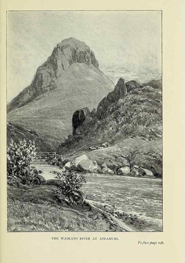 Reproducción/Reproduction 39789887443: A flower-hunter in Queensland & New Zealand,. London,J. Murray,1898.. 