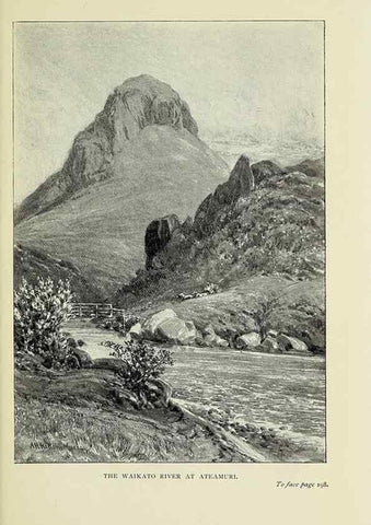 Reproducción/Reproduction 39789887443: A flower-hunter in Queensland & New Zealand,. London,J. Murray,1898.. 