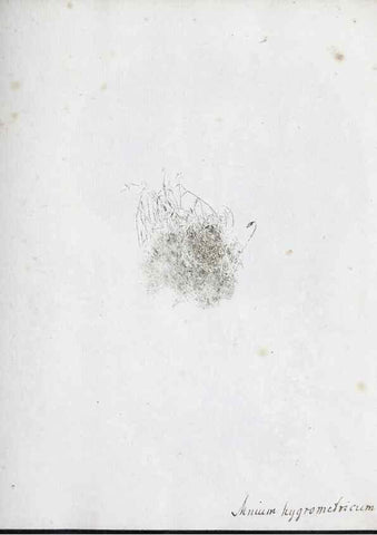 Reproducción/Reproduction 27068076218: Abdrücke lebendiger Kräuter.. Erlang,1799.. 
