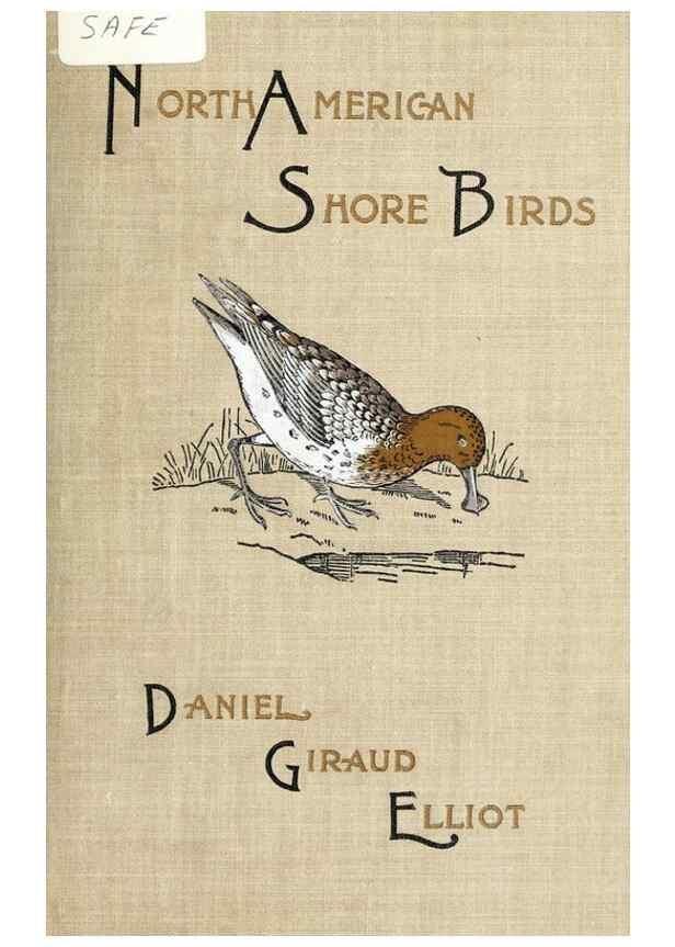 Reproducción/Reproduction 41308788082: North American shore birds;. New York :F.P. Harper,1895.. 