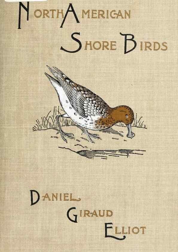 Reproducción/Reproduction 41308788082: North American shore birds;. New York :F.P. Harper,1895.. 