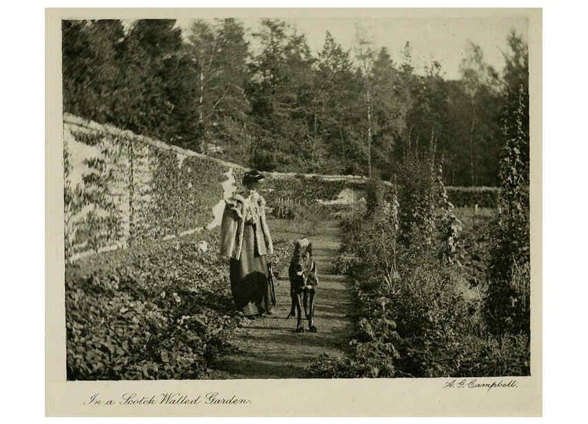 Reproducción/Reproduction 27711336898: The praise of gardens;. London,J. M. Dent & co.,1899.. 