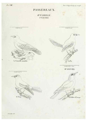 Reproducción/Reproduction 40691352795: Tableau élémentaire d'ornithologie, ou, Histoire naturelle des oiseaux que l'on rencontre communément en France :. Paris :Tournelsen,1806-1822.. 