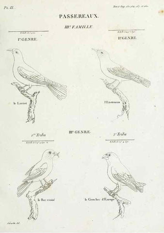 Reproducción/Reproduction 40872719714: Tableau élémentaire d'ornithologie, ou, Histoire naturelle des oiseaux que l'on rencontre communément en France :. Paris :Tournelsen,1806-1822.. 