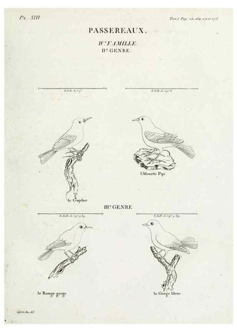Reproducción/Reproduction 26715480727: Tableau élémentaire d'ornithologie, ou, Histoire naturelle des oiseaux que l'on rencontre communément en France :. Paris :Tournelsen,1806-1822.. 