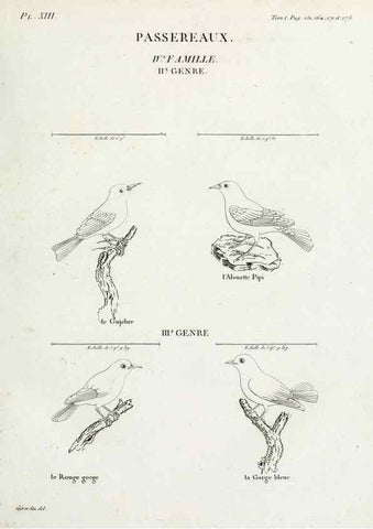 Reproducción/Reproduction 26715480727: Tableau élémentaire d'ornithologie, ou, Histoire naturelle des oiseaux que l'on rencontre communément en France :. Paris :Tournelsen,1806-1822.. 