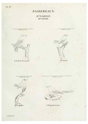 Reproducción/Reproduction 27713973928: Tableau élémentaire d'ornithologie, ou, Histoire naturelle des oiseaux que l'on rencontre communément en France :. Paris :Tournelsen,1806-1822.. 