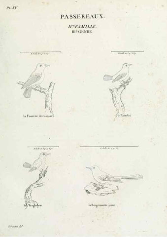Reproducción/Reproduction 27713973928: Tableau élémentaire d'ornithologie, ou, Histoire naturelle des oiseaux que l'on rencontre communément en France :. Paris :Tournelsen,1806-1822.. 