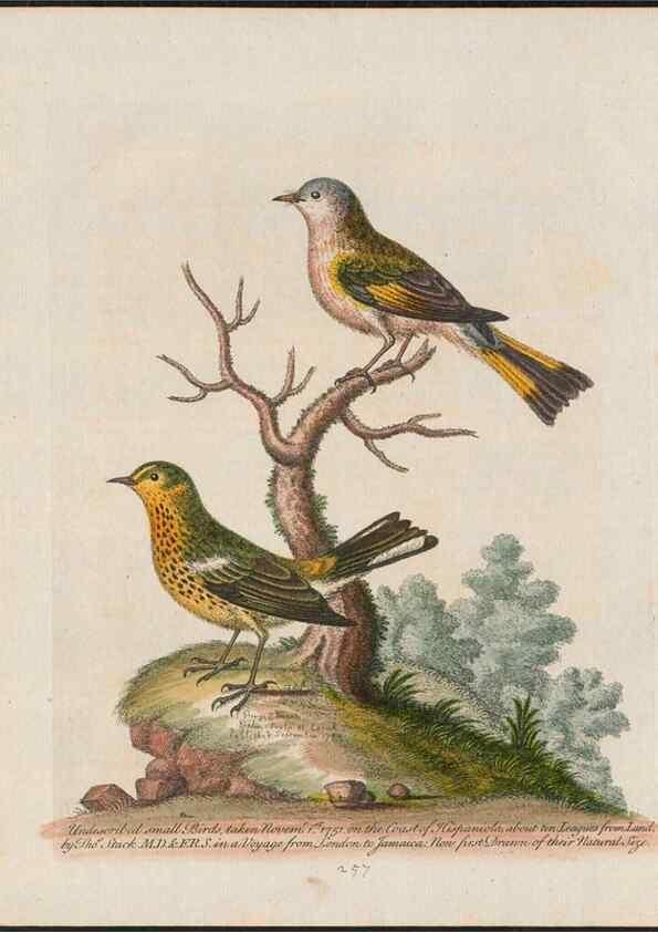 Reproducción/Reproduction 38651681236: Gleanings of natural history, exhibiting figures of quadrupeds, birds, insects, plants &c.... London :Printed for author at the Royal Collage of Physicians,1758-1764.. 