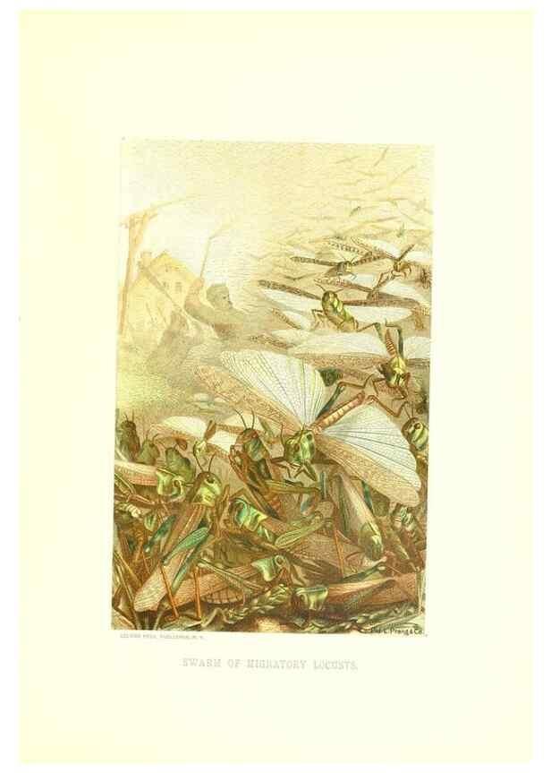 Reproducción/Reproduction 39113379130: Our living world;. New York :S. Hess,[1885]. 