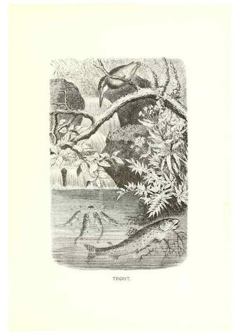 Reproducción/Reproduction 40029131165: Our living world;. New York :S. Hess,[1885]. 