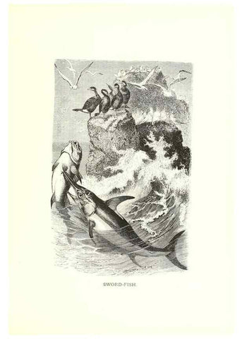 Reproducción/Reproduction 39113360900: Our living world;. New York :S. Hess,[1885]. 