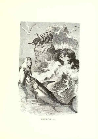 Reproducción/Reproduction 39113360900: Our living world;. New York :S. Hess,[1885]. 