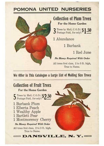 Reproducción/Reproduction 27438293847: [Pomona Nurseries materials]. Dansville, N.Y. :Pomona Nurseries,1917-1922.. 