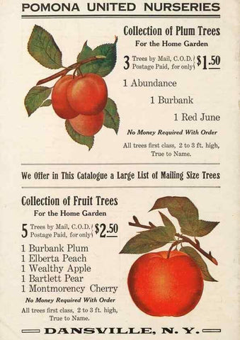 Reproducción/Reproduction 27438293847: [Pomona Nurseries materials]. Dansville, N.Y. :Pomona Nurseries,1917-1922.. 