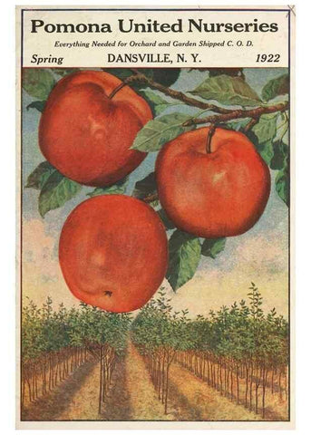 Reproducción/Reproduction 40500671290: [Pomona Nurseries materials]. Dansville, N.Y. :Pomona Nurseries,1917-1922.. 