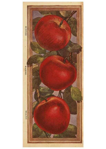 Reproducción/Reproduction 42306827981: [Pomona Nurseries materials]. Dansville, N.Y. :Pomona Nurseries,1917-1922.. 