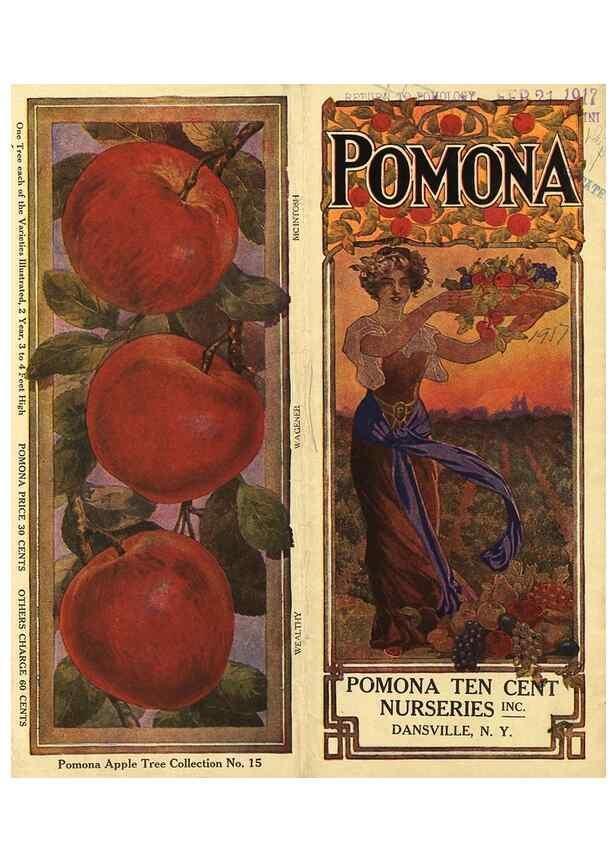 Reproducción/Reproduction 42259895592: [Pomona Nurseries materials]. Dansville, N.Y. :Pomona Nurseries,1917-1922.. 