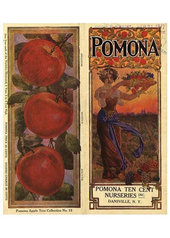 Reproducción/Reproduction 42259895592: [Pomona Nurseries materials]. Dansville, N.Y. :Pomona Nurseries,1917-1922.. 