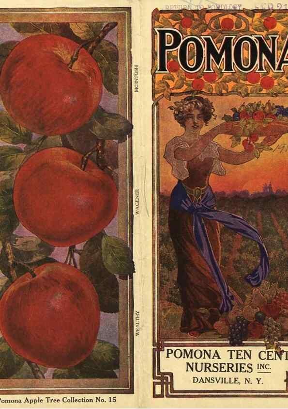 Reproducción/Reproduction 42259895592: [Pomona Nurseries materials]. Dansville, N.Y. :Pomona Nurseries,1917-1922.. 