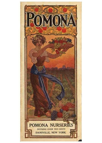 Reproducción/Reproduction 41405563735: [Pomona Nurseries materials]. Dansville, N.Y. :Pomona Nurseries,1917-1922.. 