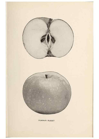 Reproducción/Reproduction 41379333195: The apples of New York /. Albany :J.B. Lyon,1905.. 