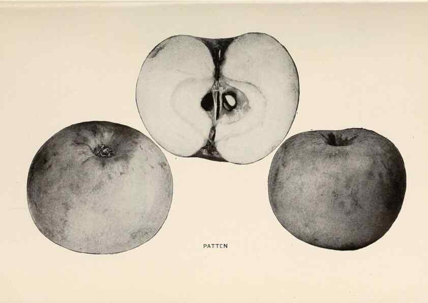Reproducción/Reproduction 27410699297: The apples of New York /. Albany :J.B. Lyon,1905.. 