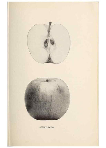 Reproducción/Reproduction 41379293585: The apples of New York /. Albany :J.B. Lyon,1905.. 