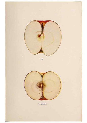 Reproducción/Reproduction 42234530622: The apples of New York /. Albany :J.B. Lyon,1905.. 