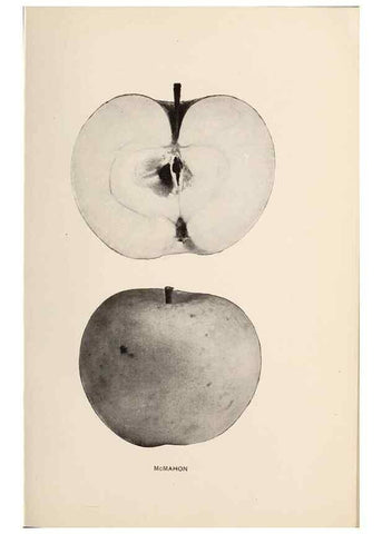 Reproducción/Reproduction 41379312235: The apples of New York /. Albany :J.B. Lyon,1905.. 