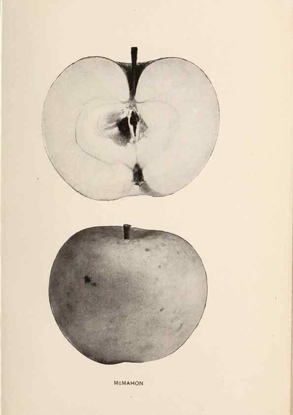 Reproducción/Reproduction 41379312235: The apples of New York /. Albany :J.B. Lyon,1905.. 