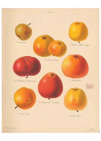 Reproducción/Reproduction 41384058745: The Herefordshire pomona, containing coloured figures and descriptions of the most esteemed kinds of apples and pears.. Hereford, [Eng.]Jakeman and Carver,1876-85.. 