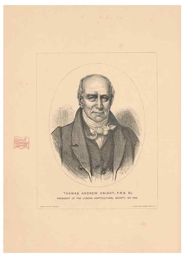 Reproducción/Reproduction 28412700618: The Herefordshire pomona, containing coloured figures and descriptions of the most esteemed kinds of apples and pears.. Hereford, [Eng.]Jakeman and Carver,1876-85.. 