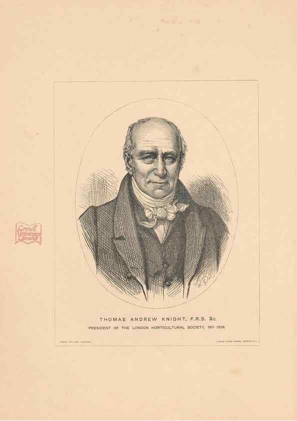 Reproducción/Reproduction 28412700618: The Herefordshire pomona, containing coloured figures and descriptions of the most esteemed kinds of apples and pears.. Hereford, [Eng.]Jakeman and Carver,1876-85.. 