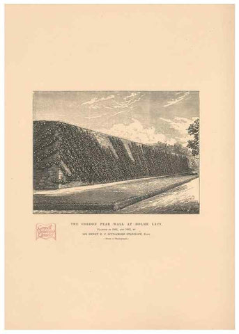 Reproducción/Reproduction 42239262792: The Herefordshire pomona, containing coloured figures and descriptions of the most esteemed kinds of apples and pears.. Hereford, [Eng.]Jakeman and Carver,1876-85.. 