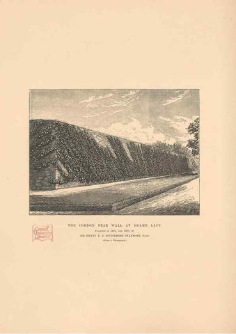Reproducción/Reproduction 42239262792: The Herefordshire pomona, containing coloured figures and descriptions of the most esteemed kinds of apples and pears.. Hereford, [Eng.]Jakeman and Carver,1876-85.. 