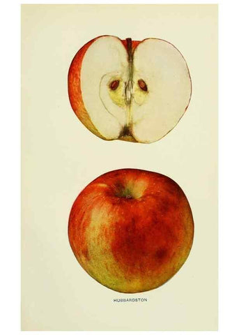 Reproducción/Reproduction 42460685661: The apples of New York,. Albany,J. B. Lyon Co., Printers,1905.. 